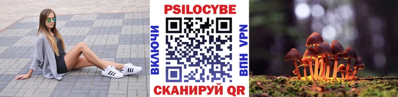 omg ТОР  Красный Холм  Галлюциногенные грибы Magic Shrooms 