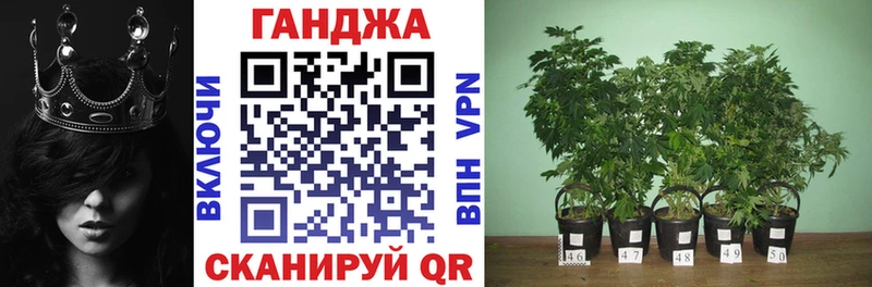 Каннабис SATIVA & INDICA  наркота  Красный Холм 